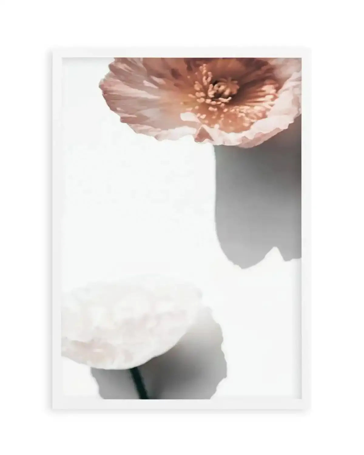 Abstract Poppies IV Art Print from Olive et Oriel where you can shop wallpaper and artworks online
