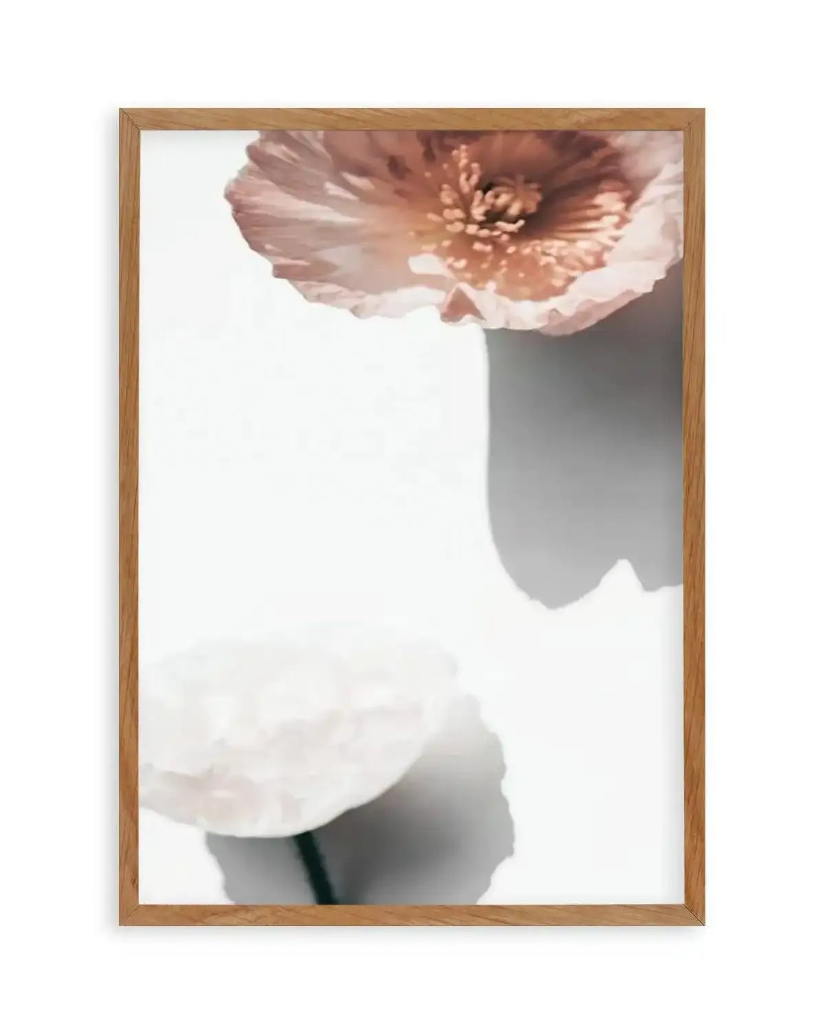 Abstract Poppies IV Art Print from Olive et Oriel where you can shop wallpaper and artworks online