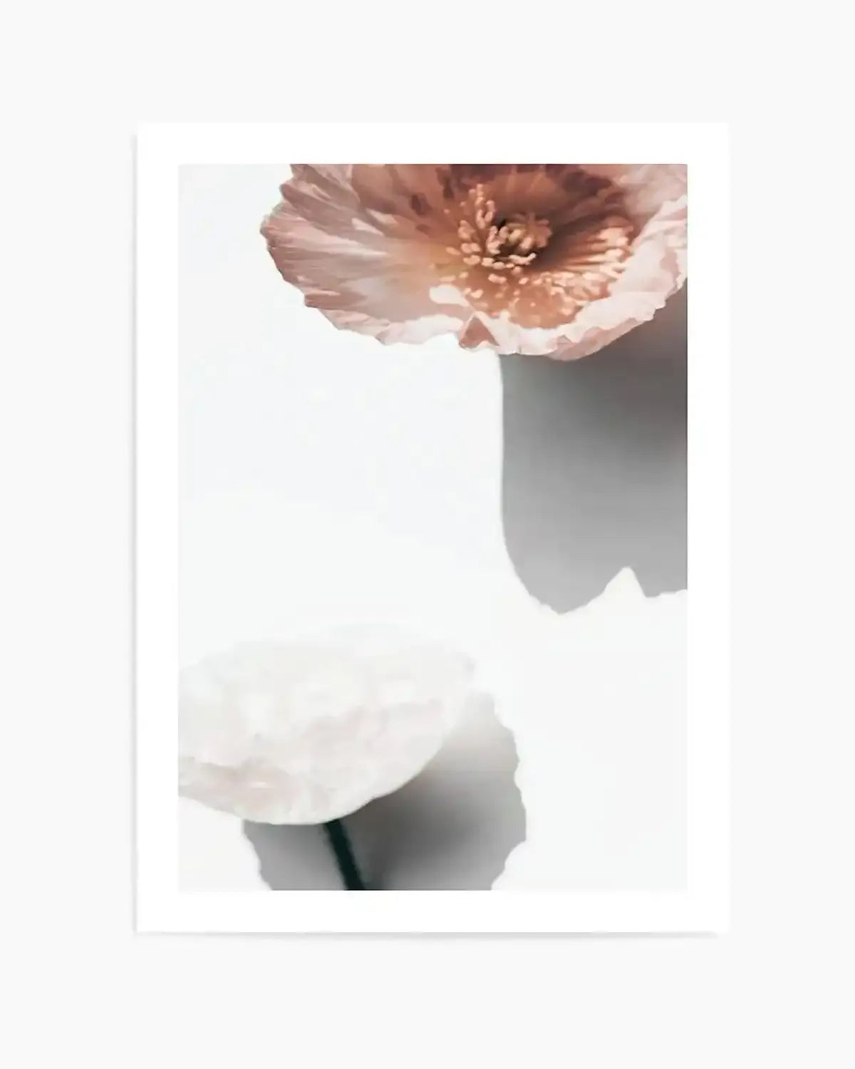 Abstract Poppies IV Art Print from Olive et Oriel where you can shop wallpaper and artworks online