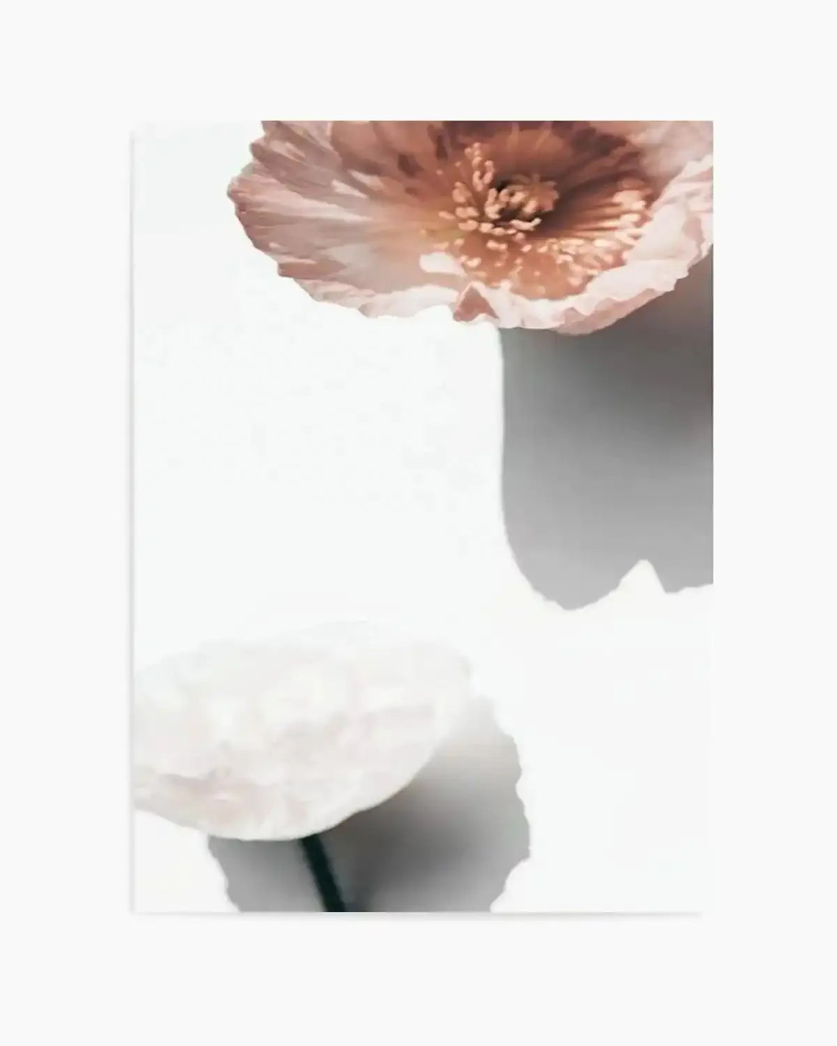 Abstract Poppies IV Art Print from Olive et Oriel where you can shop wallpaper and artworks online