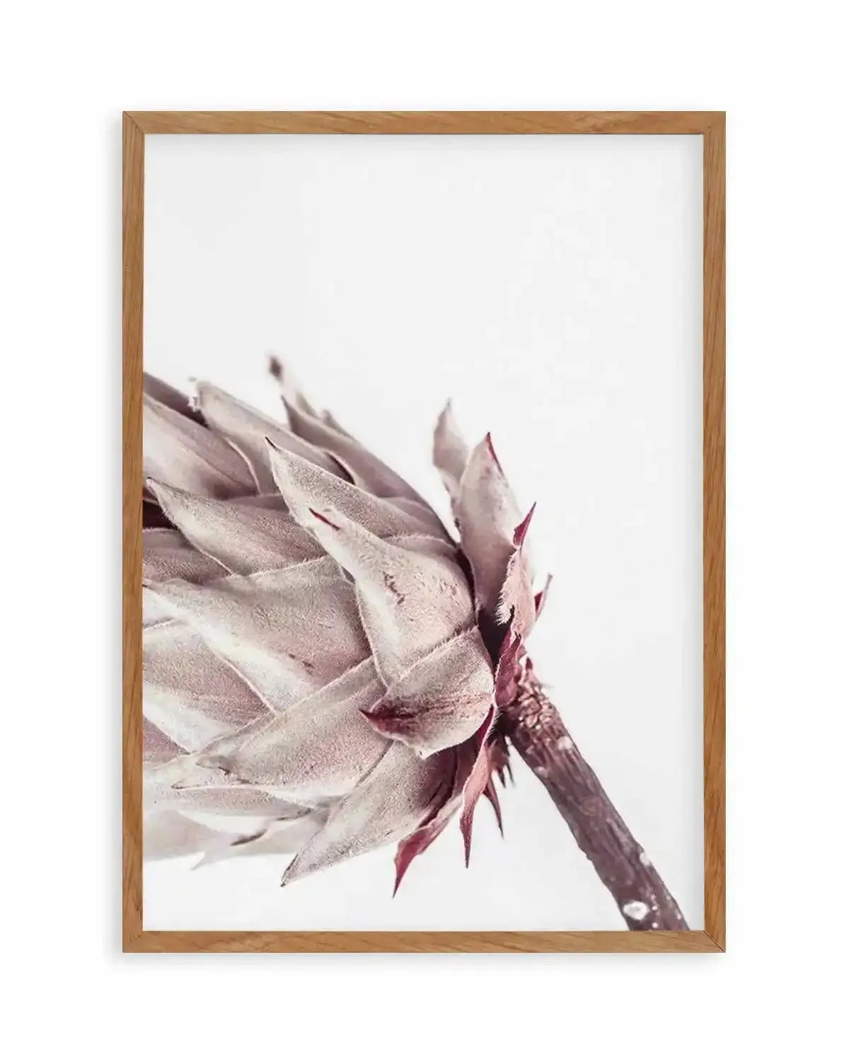 Abstract Protea I Art Print from Olive et Oriel where you can shop wallpaper and artworks online