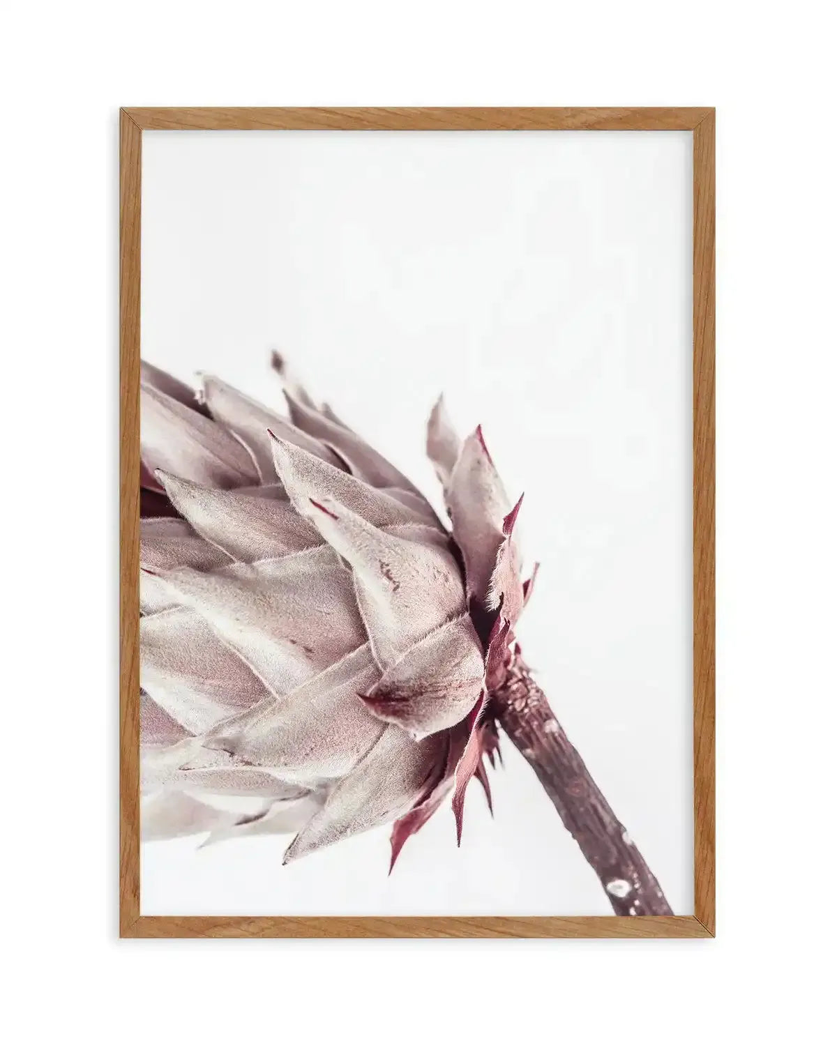 Abstract Protea I Art Print-Buy-Bohemian-Wall-Art-Print-And-Boho-Pictures-from-Olive-et-Oriel-Bohemian-Wall-Art-Print-And-Boho-Pictures-And-Also-Boho-Abstract-Art-Paintings-On-Canvas-For-A-Girls-Bedroom-Wall-Decor-Collection-of-Boho-Style-Feminine-Art-Poster-and-Framed-Artwork-Update-Your-Home-Decorating-Style-With-These-Beautiful-Wall-Art-Prints-Australia