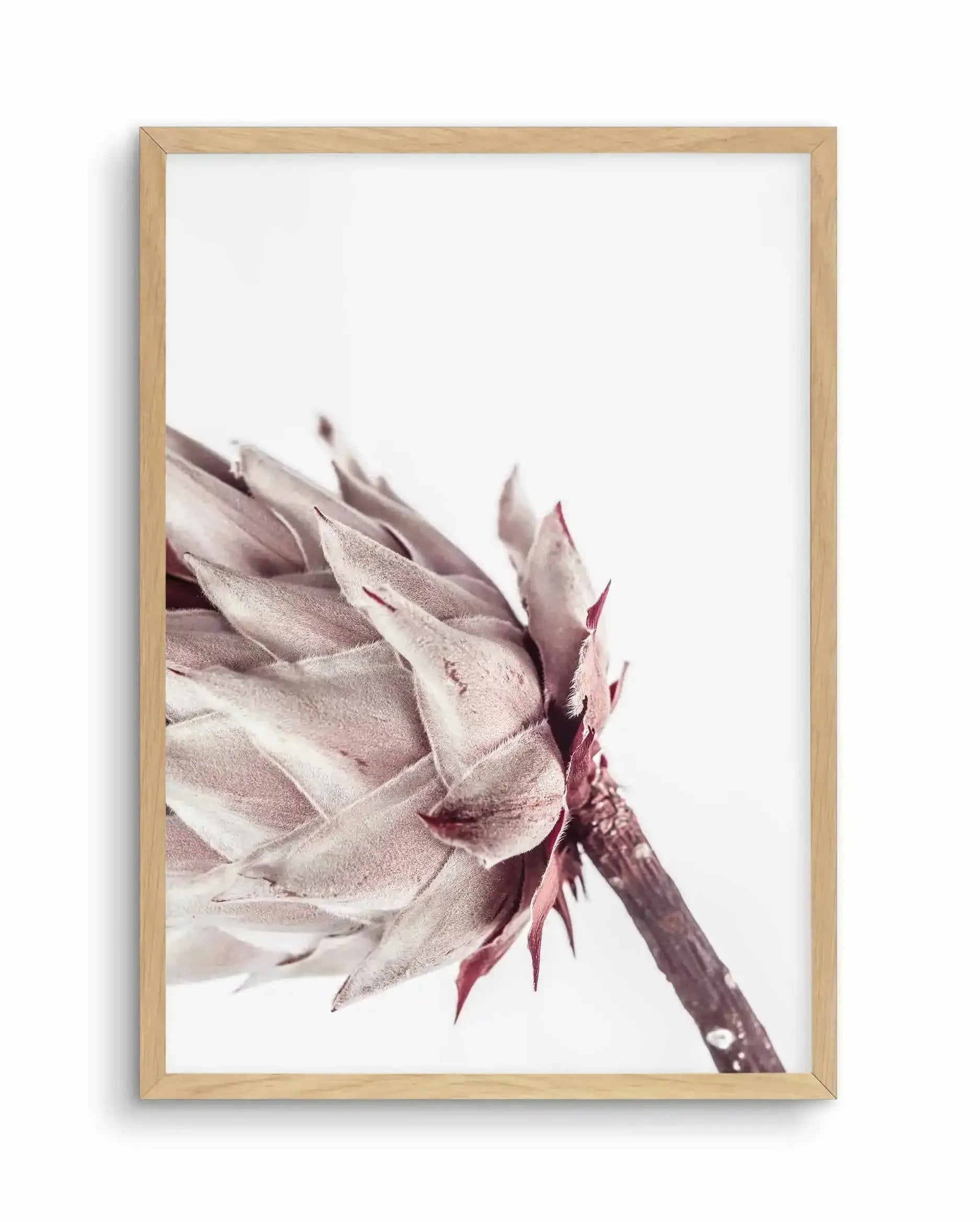 Abstract Protea I Art Print-Buy-Bohemian-Wall-Art-Print-And-Boho-Pictures-from-Olive-et-Oriel-Bohemian-Wall-Art-Print-And-Boho-Pictures-And-Also-Boho-Abstract-Art-Paintings-On-Canvas-For-A-Girls-Bedroom-Wall-Decor-Collection-of-Boho-Style-Feminine-Art-Poster-and-Framed-Artwork-Update-Your-Home-Decorating-Style-With-These-Beautiful-Wall-Art-Prints-Australia