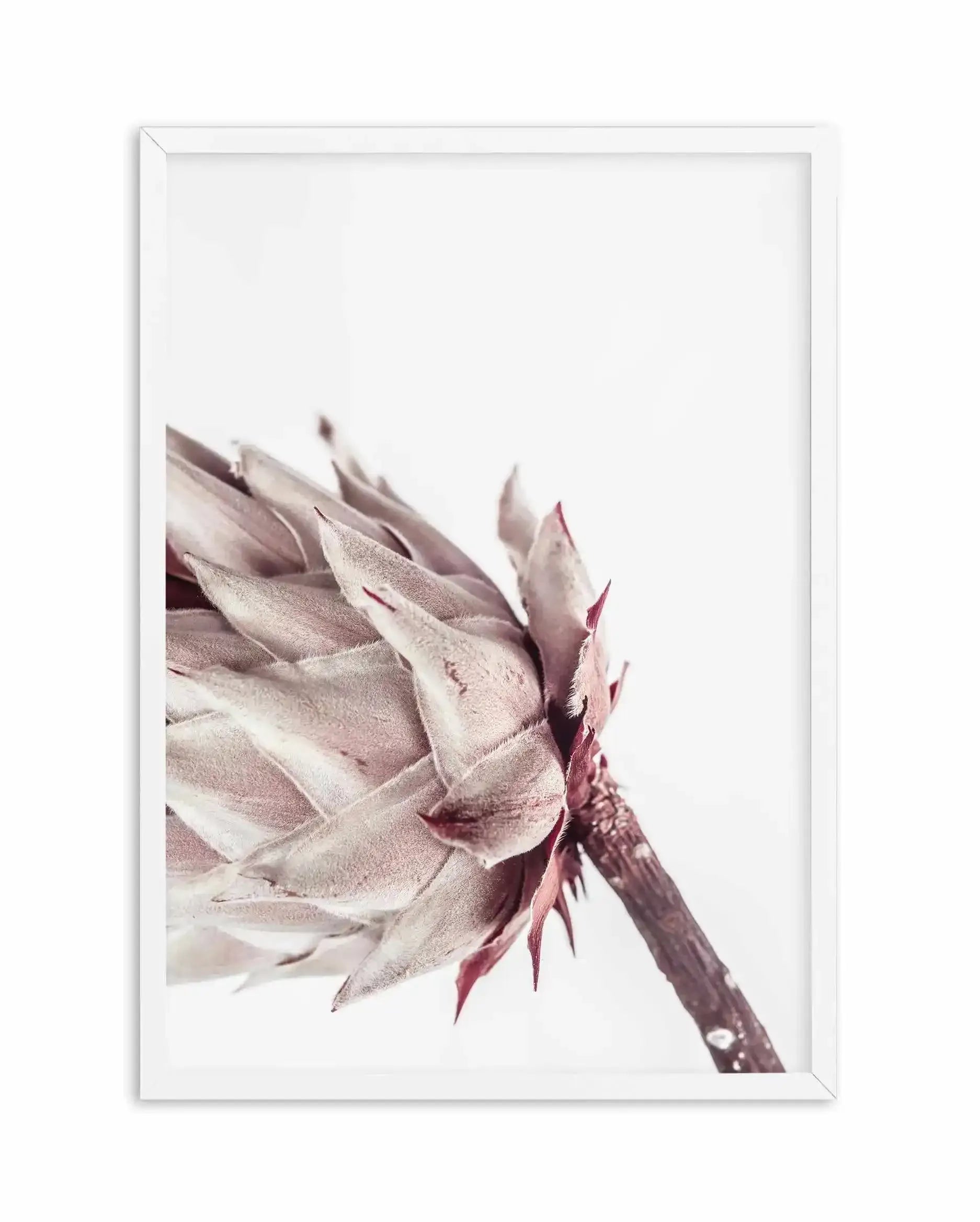 Abstract Protea I Art Print-Buy-Bohemian-Wall-Art-Print-And-Boho-Pictures-from-Olive-et-Oriel-Bohemian-Wall-Art-Print-And-Boho-Pictures-And-Also-Boho-Abstract-Art-Paintings-On-Canvas-For-A-Girls-Bedroom-Wall-Decor-Collection-of-Boho-Style-Feminine-Art-Poster-and-Framed-Artwork-Update-Your-Home-Decorating-Style-With-These-Beautiful-Wall-Art-Prints-Australia