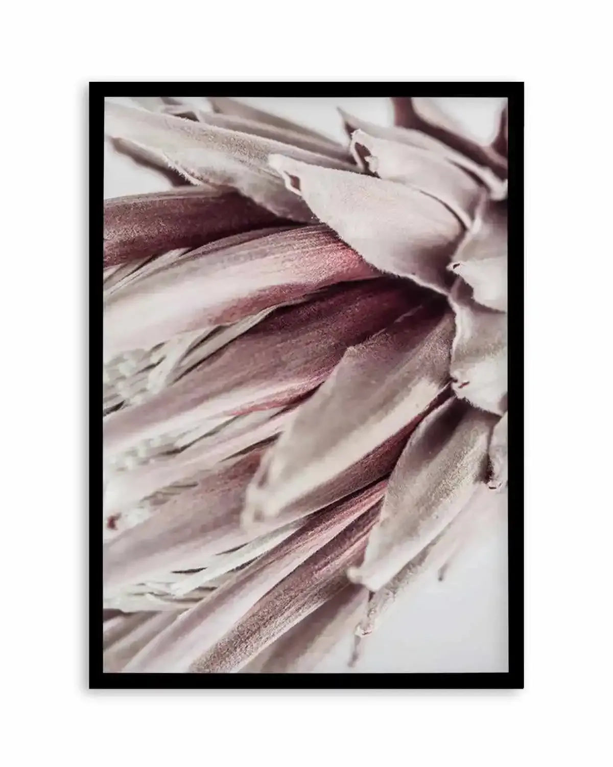 Abstract Protea II Art Print from Olive et Oriel where you can shop wallpaper and artworks online