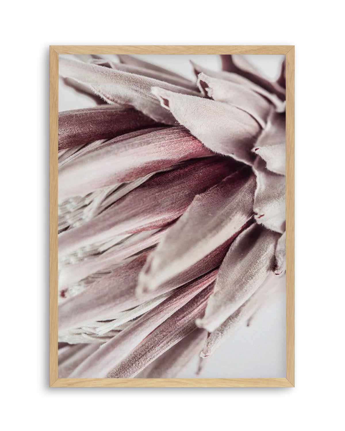 Abstract Protea II Art Print