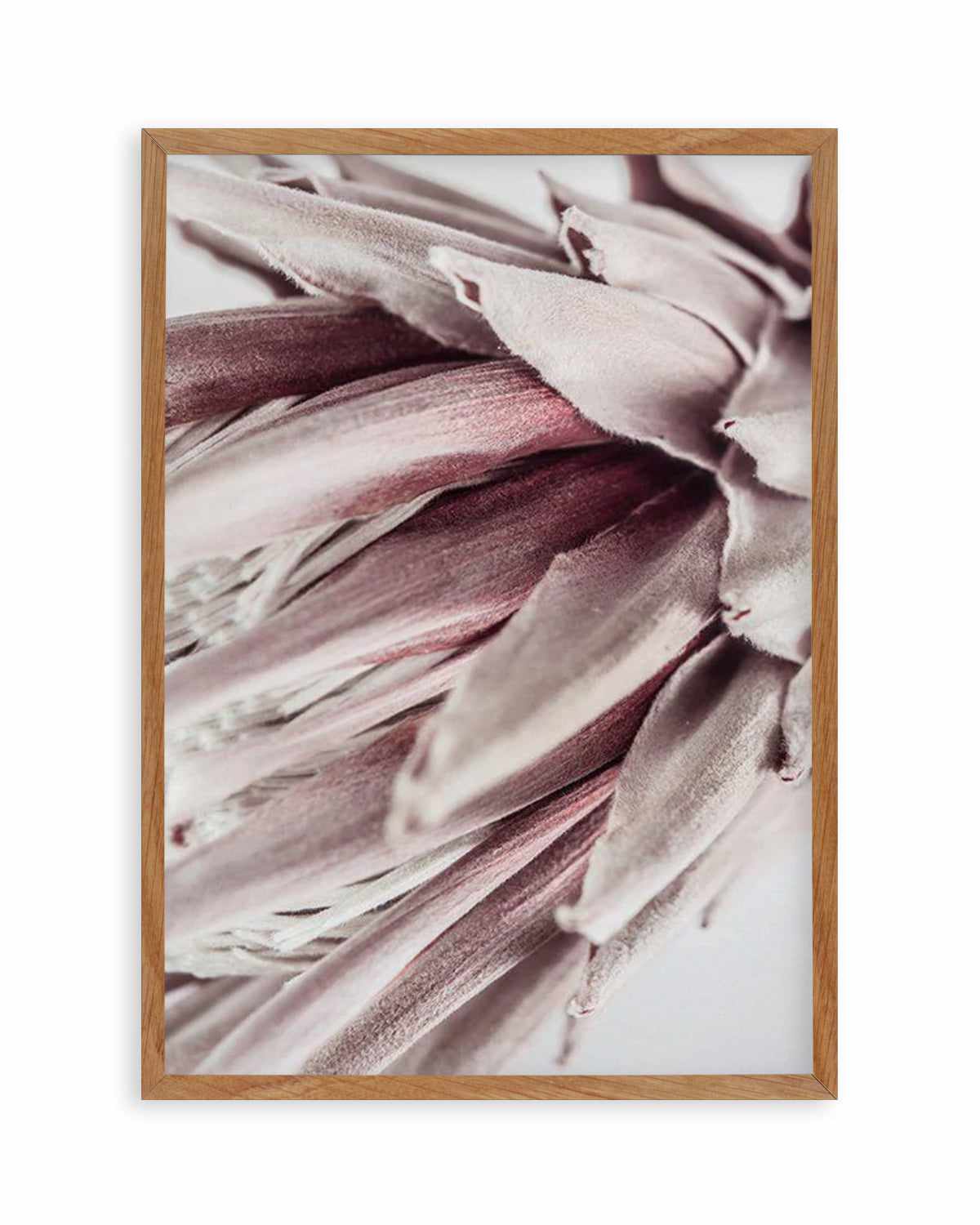 Abstract Protea II Art Print