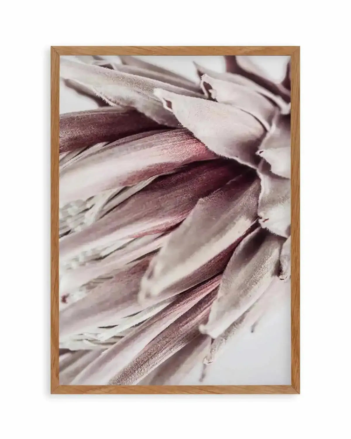 Abstract Protea II Art Print from Olive et Oriel where you can shop wallpaper and artworks online