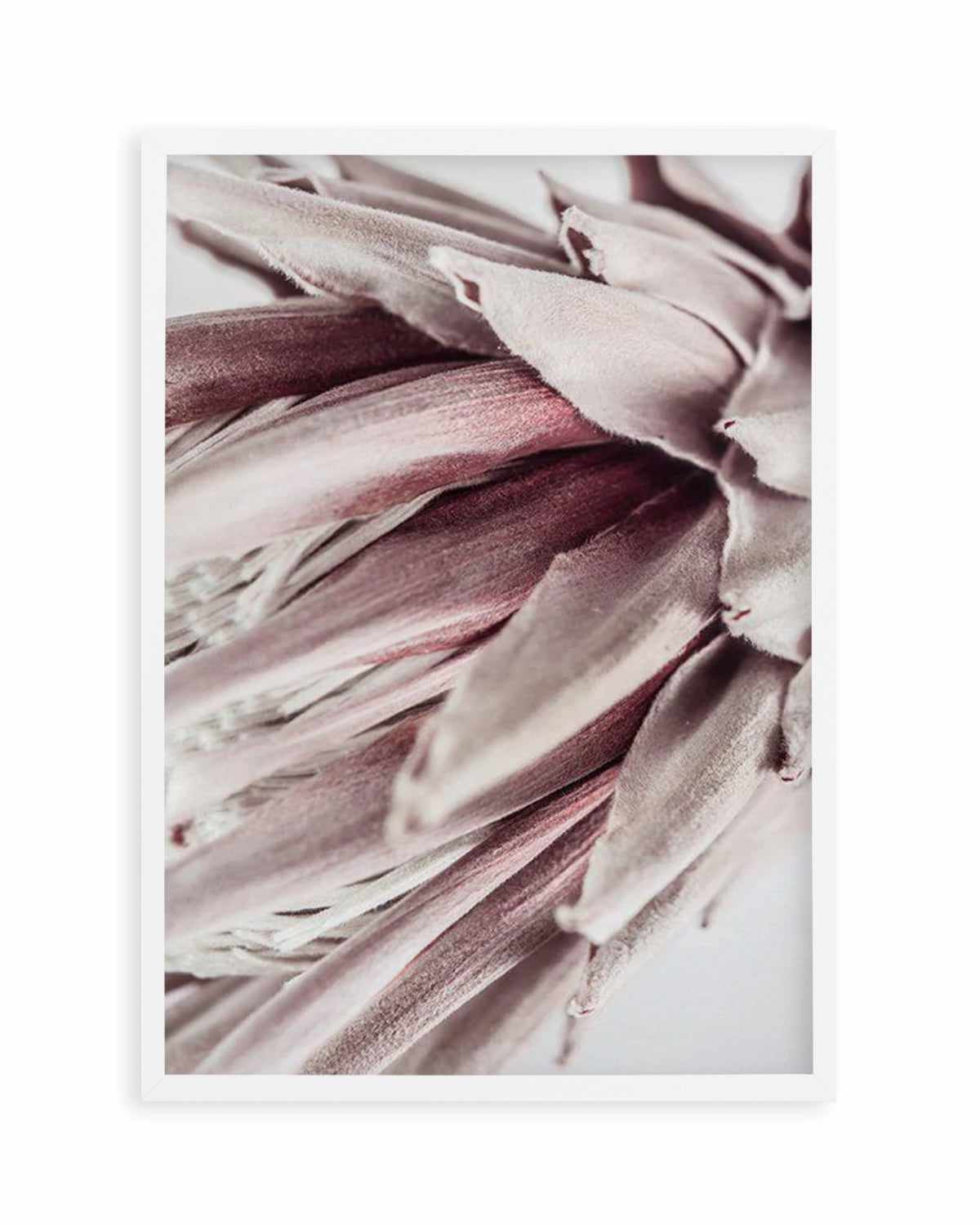 Abstract Protea II Art Print