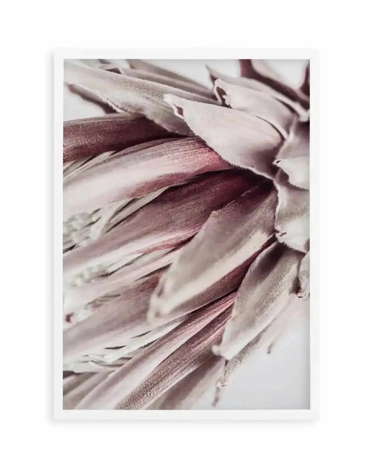 Abstract Protea II Art Print from Olive et Oriel where you can shop wallpaper and artworks online