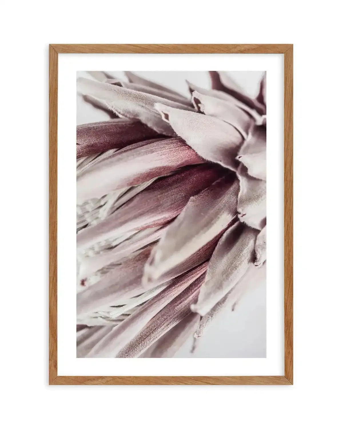 Abstract Protea II Art Print-Buy-Bohemian-Wall-Art-Print-And-Boho-Pictures-from-Olive-et-Oriel-Bohemian-Wall-Art-Print-And-Boho-Pictures-And-Also-Boho-Abstract-Art-Paintings-On-Canvas-For-A-Girls-Bedroom-Wall-Decor-Collection-of-Boho-Style-Feminine-Art-Poster-and-Framed-Artwork-Update-Your-Home-Decorating-Style-With-These-Beautiful-Wall-Art-Prints-Australia