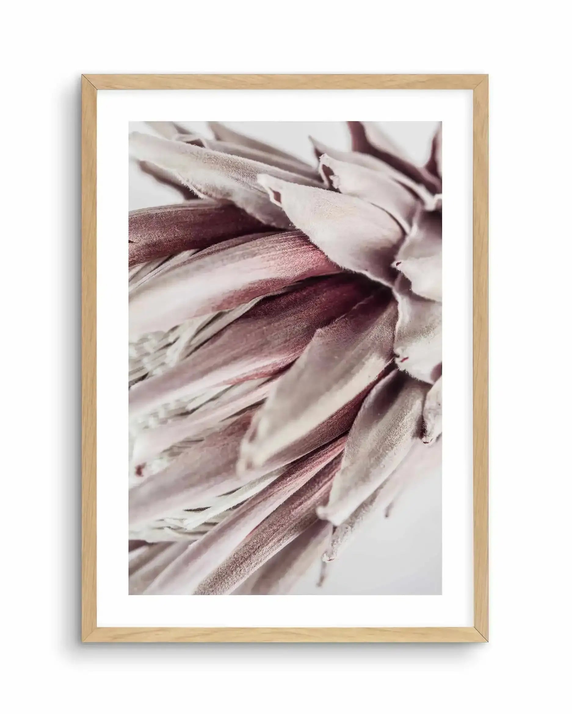 Abstract Protea II Art Print-Buy-Bohemian-Wall-Art-Print-And-Boho-Pictures-from-Olive-et-Oriel-Bohemian-Wall-Art-Print-And-Boho-Pictures-And-Also-Boho-Abstract-Art-Paintings-On-Canvas-For-A-Girls-Bedroom-Wall-Decor-Collection-of-Boho-Style-Feminine-Art-Poster-and-Framed-Artwork-Update-Your-Home-Decorating-Style-With-These-Beautiful-Wall-Art-Prints-Australia