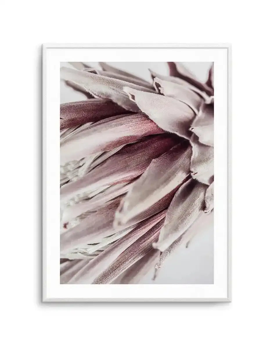Abstract Protea II Art Print-Buy-Bohemian-Wall-Art-Print-And-Boho-Pictures-from-Olive-et-Oriel-Bohemian-Wall-Art-Print-And-Boho-Pictures-And-Also-Boho-Abstract-Art-Paintings-On-Canvas-For-A-Girls-Bedroom-Wall-Decor-Collection-of-Boho-Style-Feminine-Art-Poster-and-Framed-Artwork-Update-Your-Home-Decorating-Style-With-These-Beautiful-Wall-Art-Prints-Australia