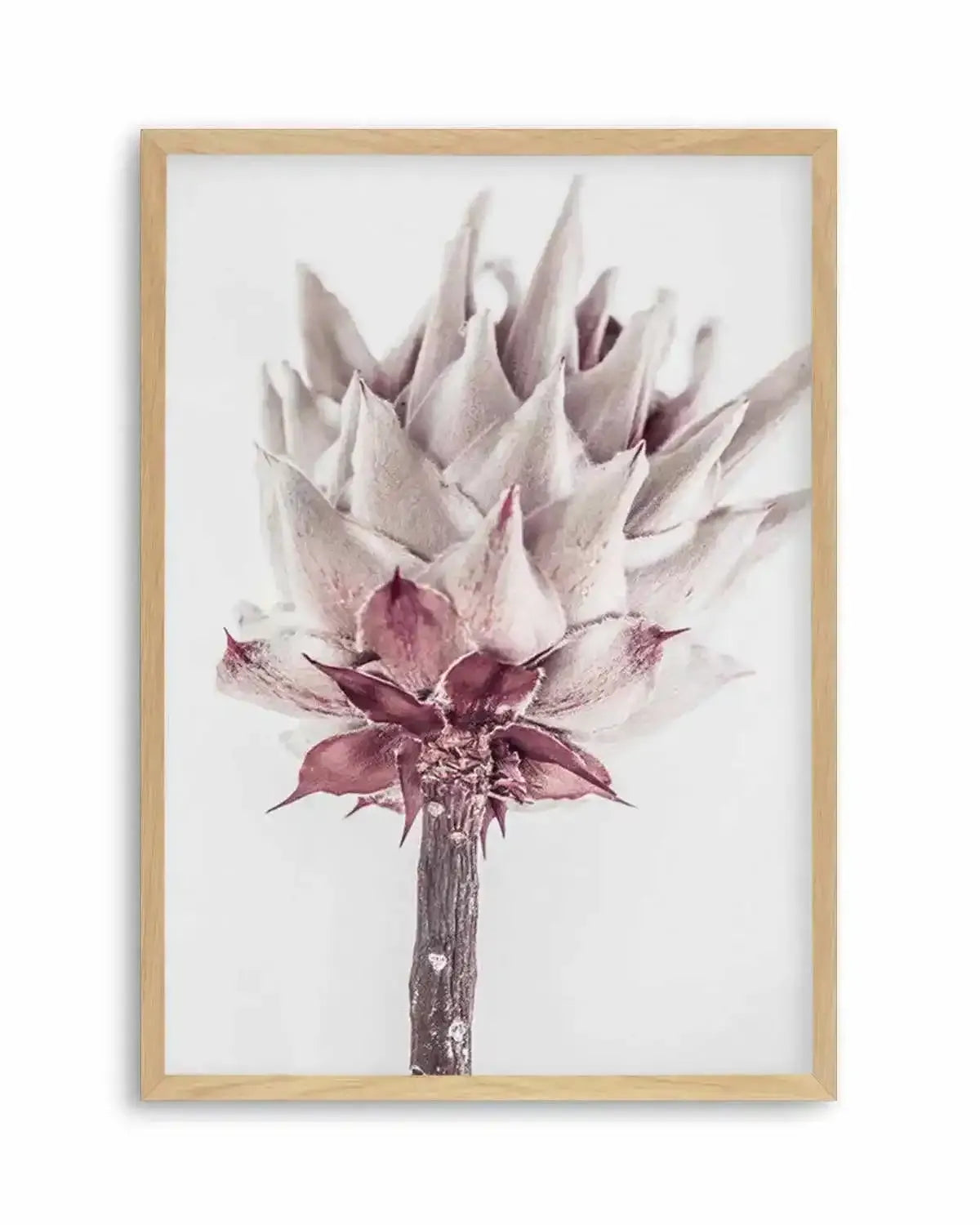 Abstract Protea III Art Print from Olive et Oriel where you can shop wallpaper and artworks online