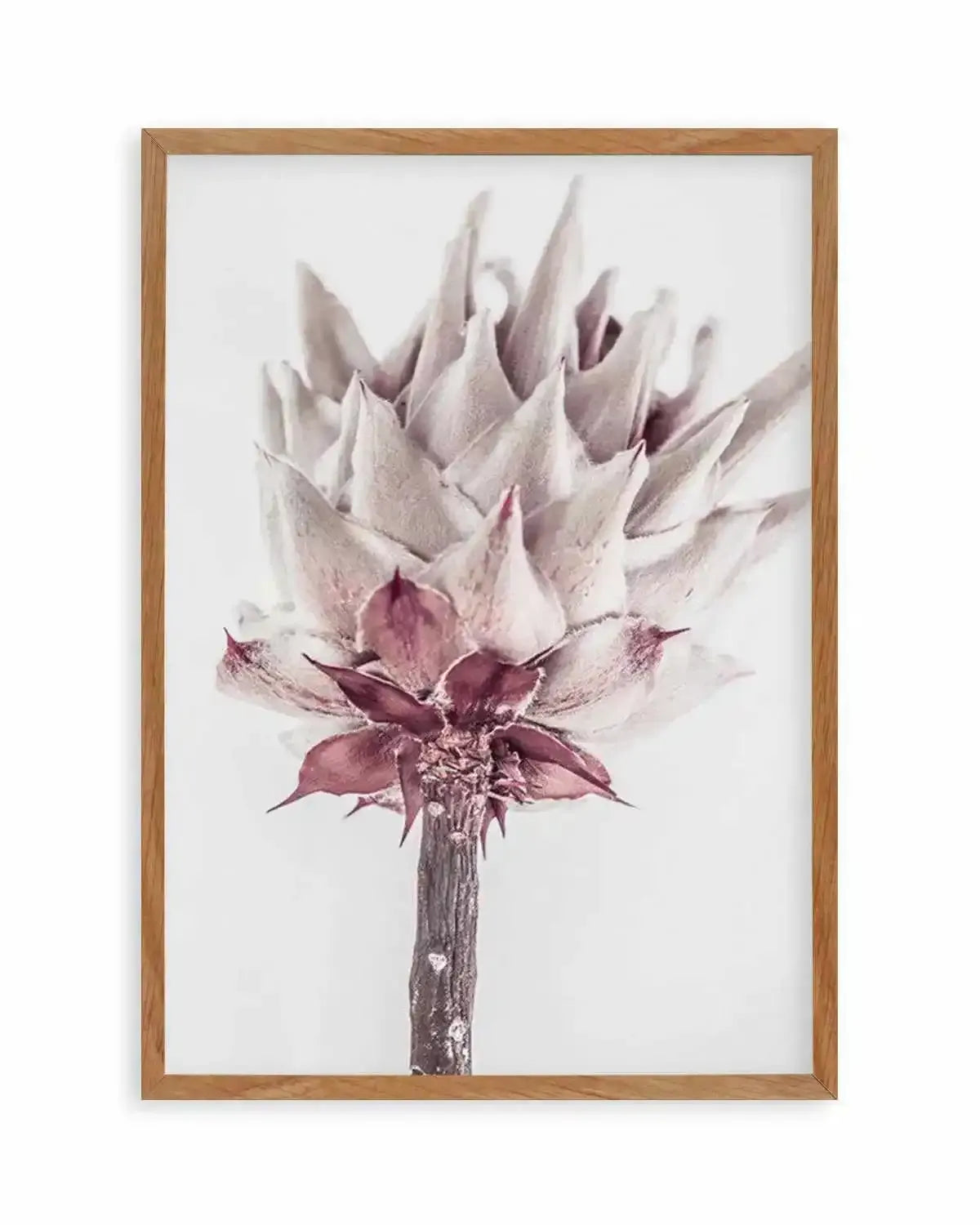 Abstract Protea III Art Print from Olive et Oriel where you can shop wallpaper and artworks online