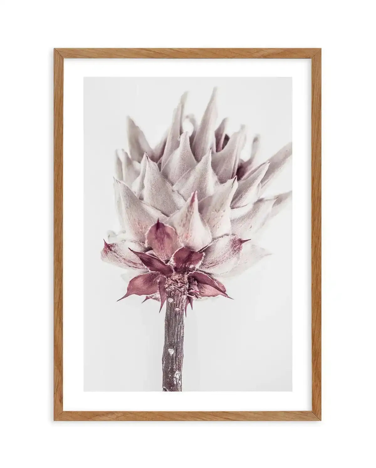 Abstract Protea III Art Print-Buy-Bohemian-Wall-Art-Print-And-Boho-Pictures-from-Olive-et-Oriel-Bohemian-Wall-Art-Print-And-Boho-Pictures-And-Also-Boho-Abstract-Art-Paintings-On-Canvas-For-A-Girls-Bedroom-Wall-Decor-Collection-of-Boho-Style-Feminine-Art-Poster-and-Framed-Artwork-Update-Your-Home-Decorating-Style-With-These-Beautiful-Wall-Art-Prints-Australia