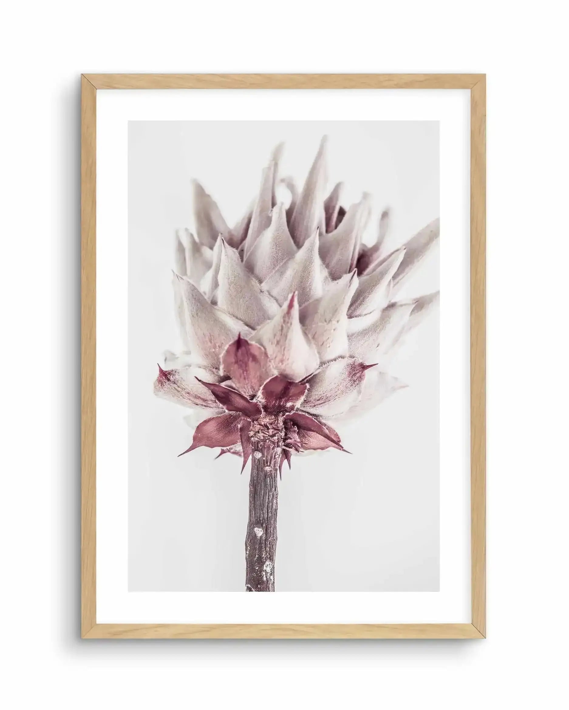 Abstract Protea III Art Print-Buy-Bohemian-Wall-Art-Print-And-Boho-Pictures-from-Olive-et-Oriel-Bohemian-Wall-Art-Print-And-Boho-Pictures-And-Also-Boho-Abstract-Art-Paintings-On-Canvas-For-A-Girls-Bedroom-Wall-Decor-Collection-of-Boho-Style-Feminine-Art-Poster-and-Framed-Artwork-Update-Your-Home-Decorating-Style-With-These-Beautiful-Wall-Art-Prints-Australia