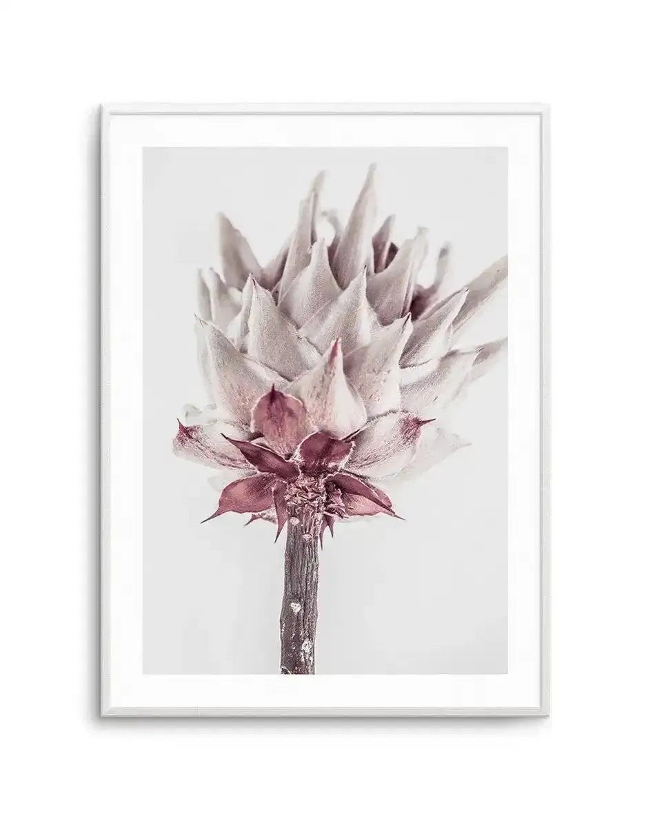 Abstract Protea III Art Print-Buy-Bohemian-Wall-Art-Print-And-Boho-Pictures-from-Olive-et-Oriel-Bohemian-Wall-Art-Print-And-Boho-Pictures-And-Also-Boho-Abstract-Art-Paintings-On-Canvas-For-A-Girls-Bedroom-Wall-Decor-Collection-of-Boho-Style-Feminine-Art-Poster-and-Framed-Artwork-Update-Your-Home-Decorating-Style-With-These-Beautiful-Wall-Art-Prints-Australia
