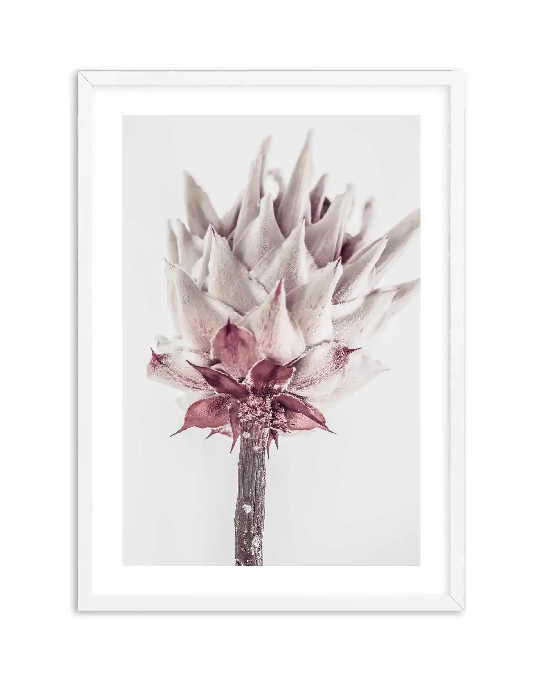 Abstract Protea III Art Print-Buy-Bohemian-Wall-Art-Print-And-Boho-Pictures-from-Olive-et-Oriel-Bohemian-Wall-Art-Print-And-Boho-Pictures-And-Also-Boho-Abstract-Art-Paintings-On-Canvas-For-A-Girls-Bedroom-Wall-Decor-Collection-of-Boho-Style-Feminine-Art-Poster-and-Framed-Artwork-Update-Your-Home-Decorating-Style-With-These-Beautiful-Wall-Art-Prints-Australia