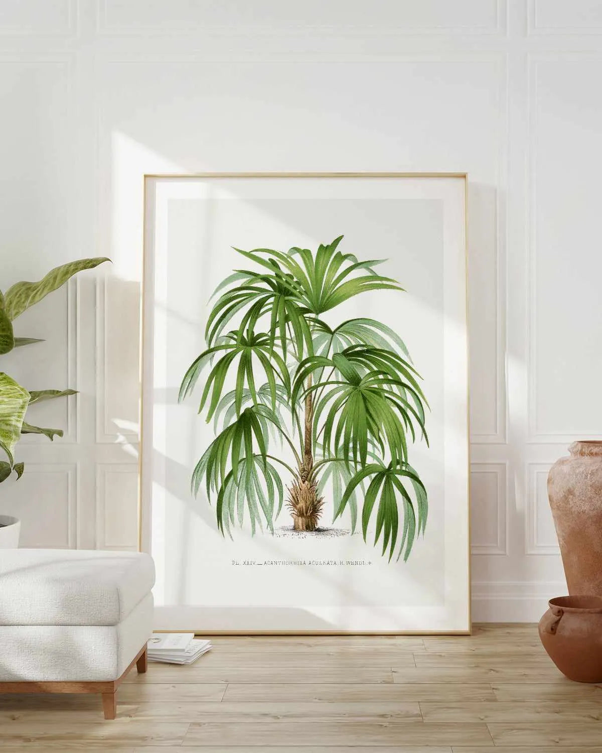 Acanthorhiza Aculeata Vintage Palm Poster Art Print from Olive et Oriel where you can shop wallpaper and artworks online