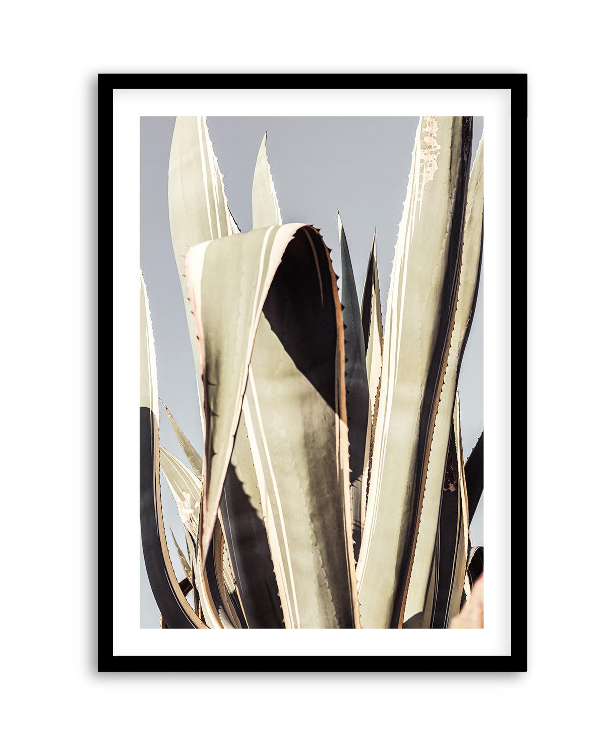 Agave 001 By Studio III | Art Print