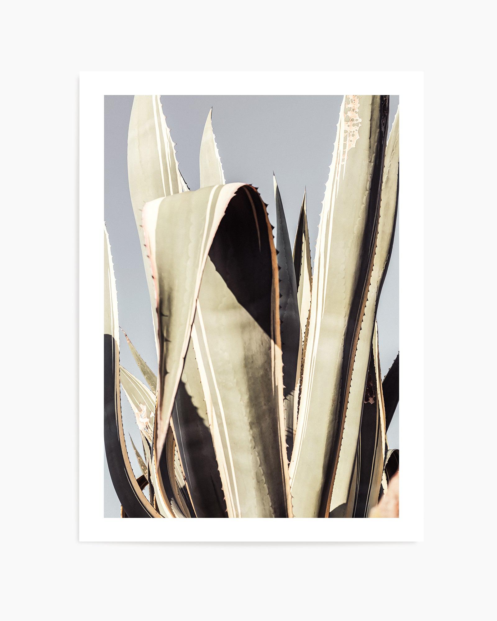 Agave 001 By Studio III | Art Print