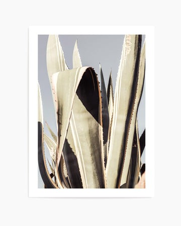Agave 001 By Studio III | Art Print from Olive et Oriel where you can shop wallpaper and artworks online