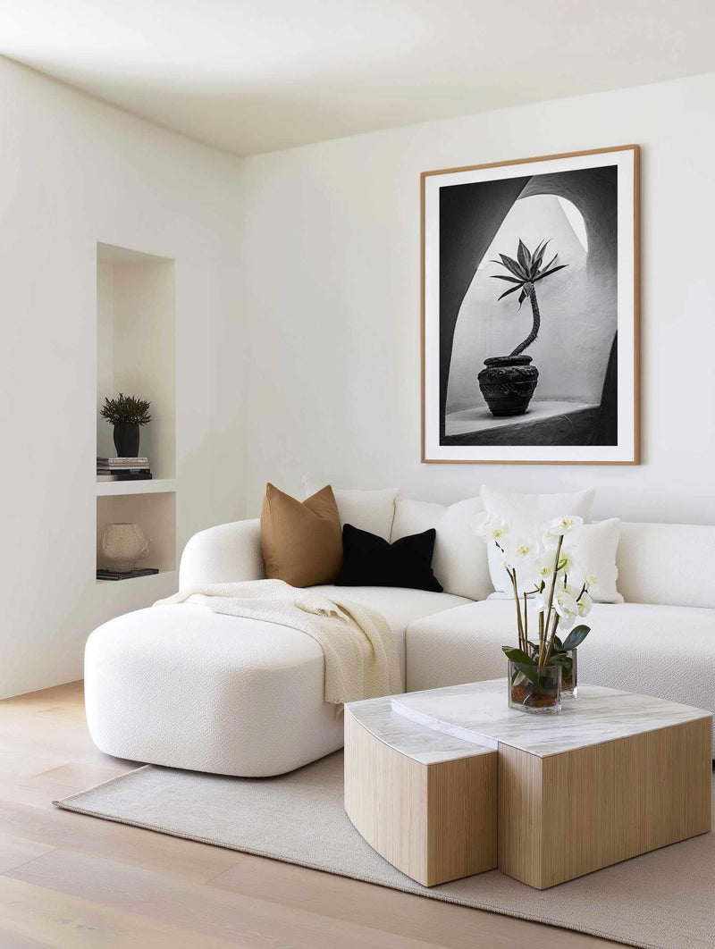 Agave In Arch Light Michael Bangiev | Art Print