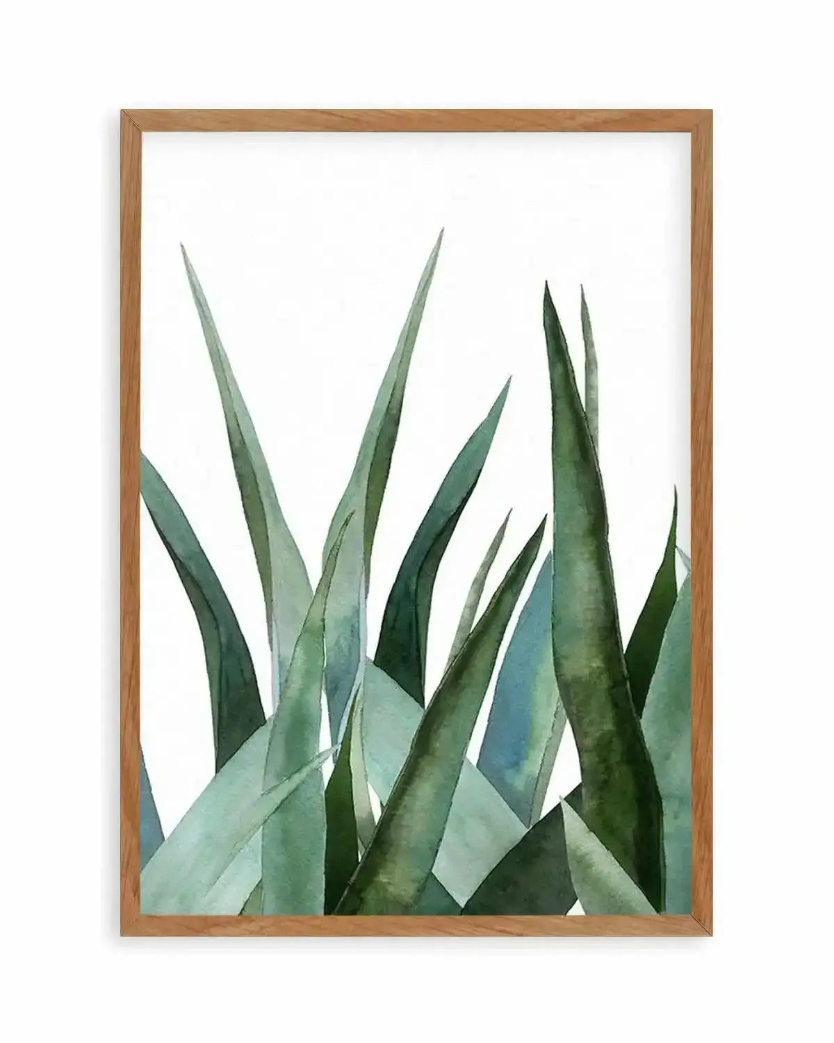 Agave in Watercolour Art Print from Olive et Oriel where you can shop wallpaper and artworks online