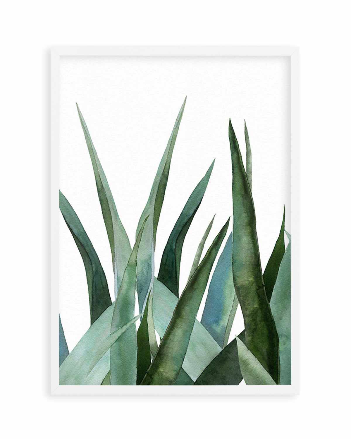 Agave in Watercolour Art Print