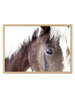Aiko | Brown Horse Art Print