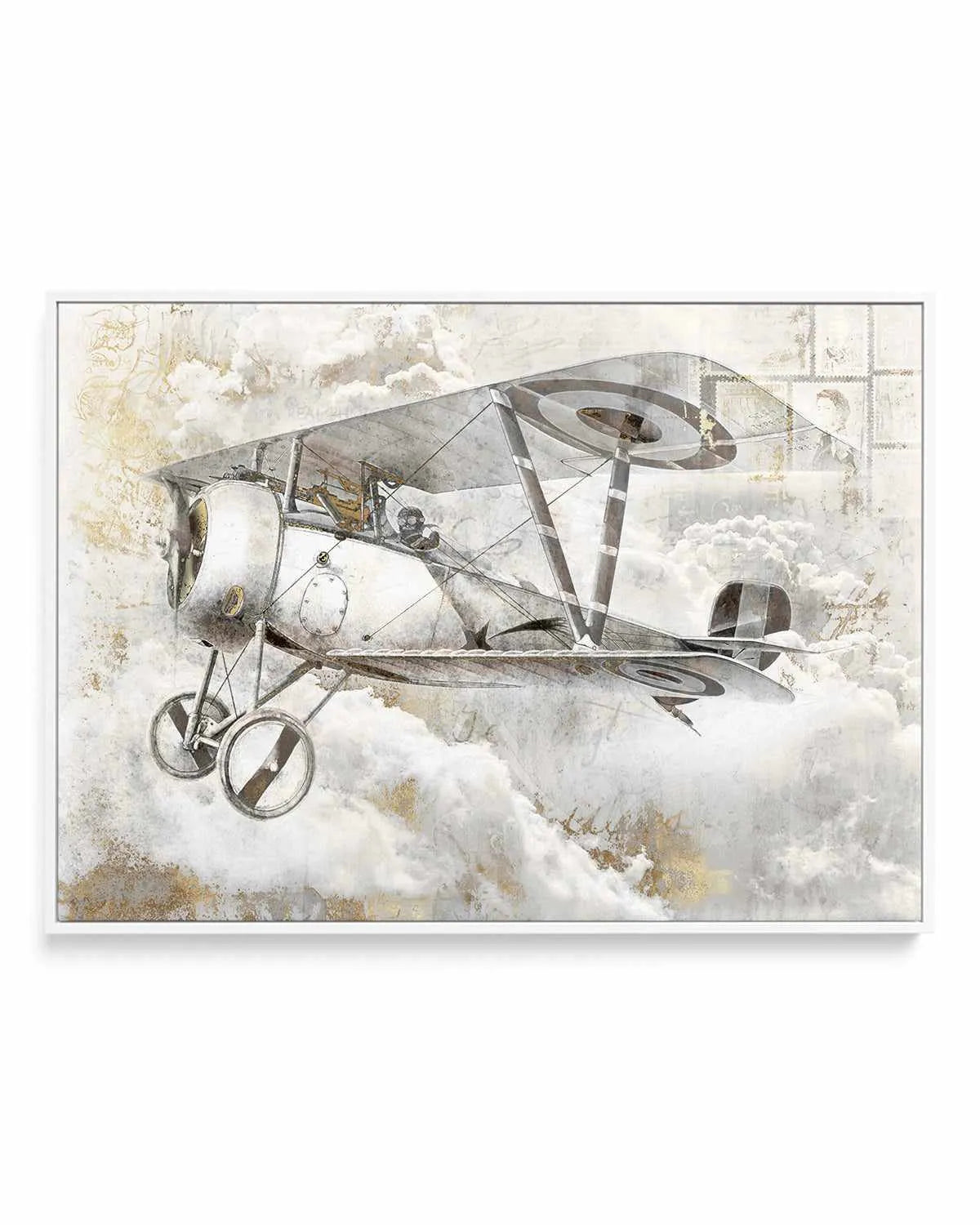 Airplane II | Framed Canvas Art Print from Olive et Oriel where you can shop wallpaper and artworks online