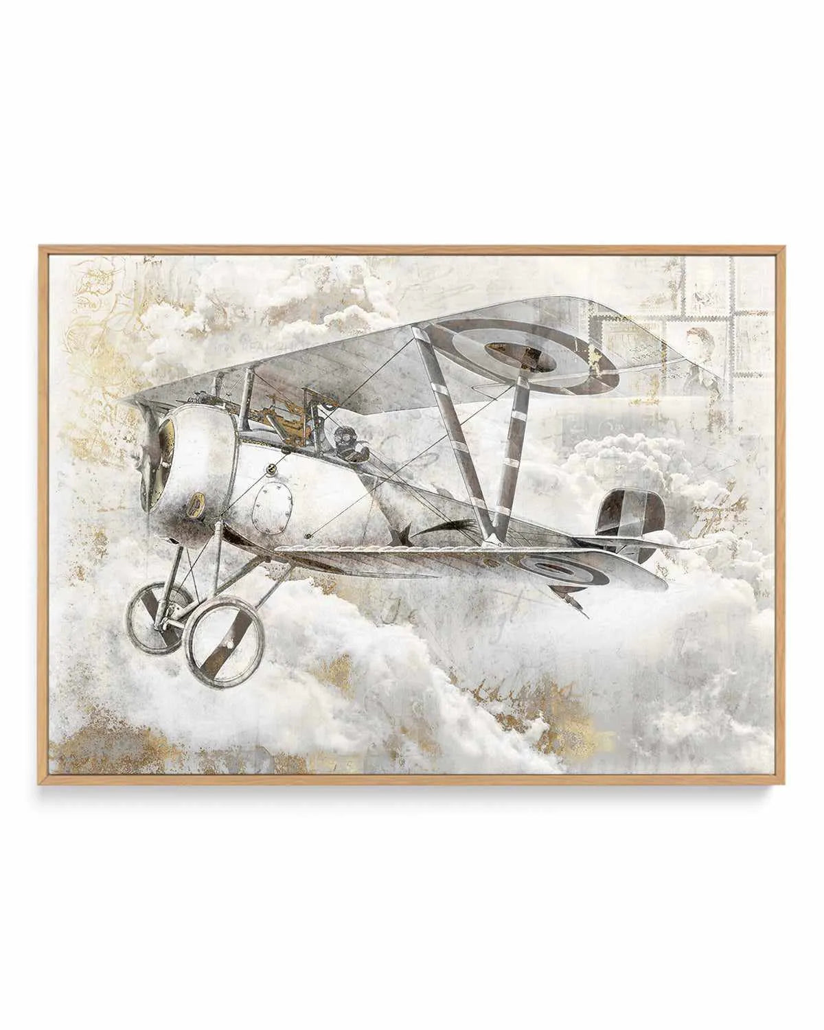 Airplane II | Framed Canvas Art Print from Olive et Oriel where you can shop wallpaper and artworks online