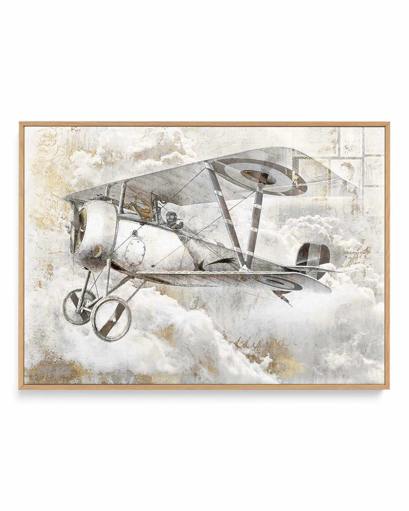 Airplane II | Framed Canvas Art Print