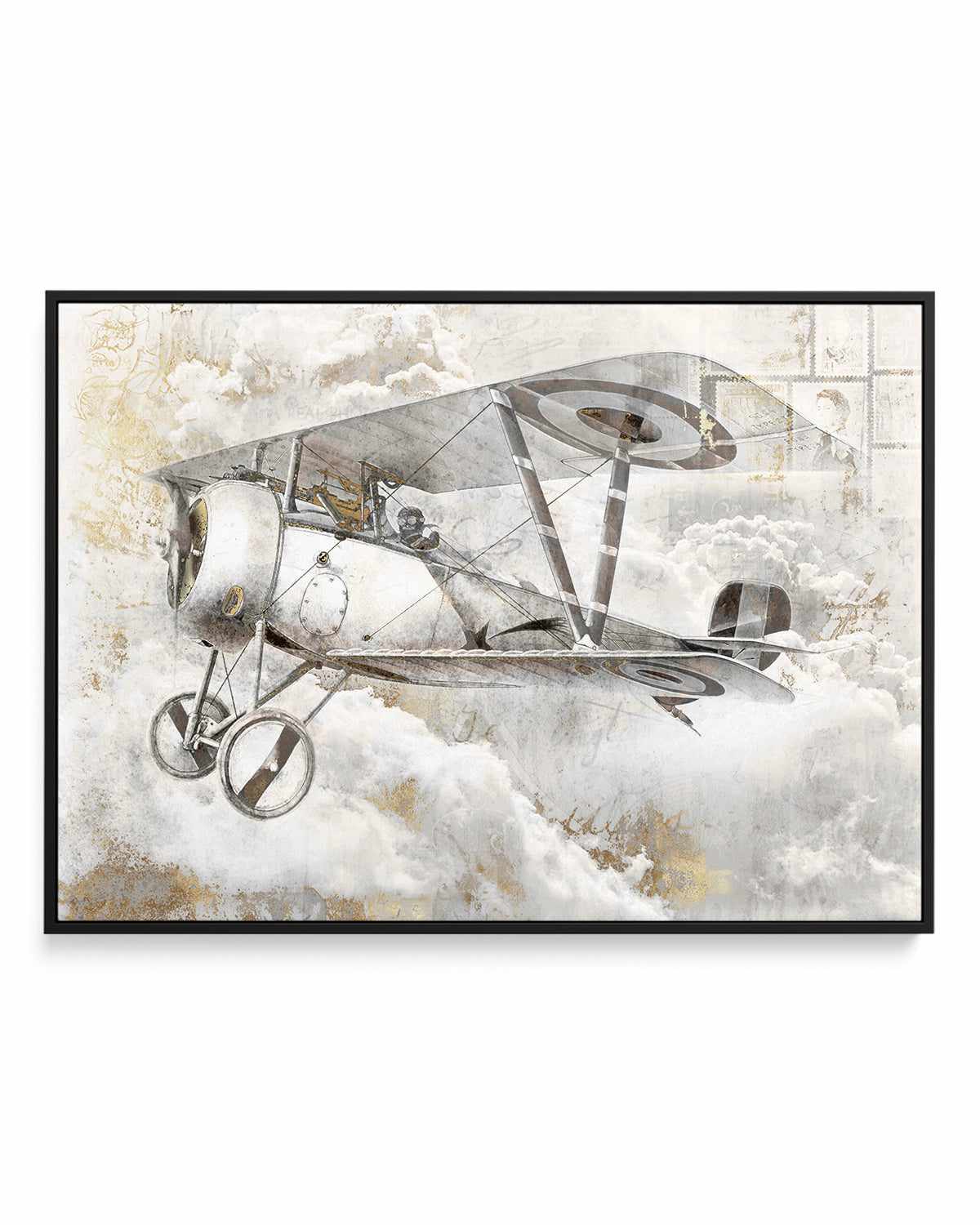 Airplane II | Framed Canvas Art Print