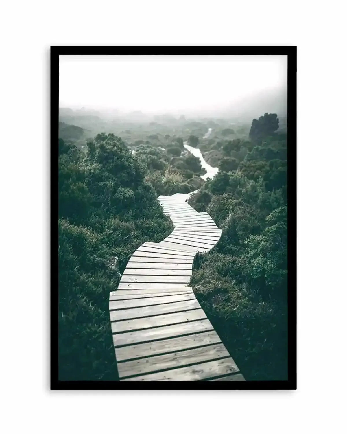 Along The Tracks | Tasmania Art Print from Olive et Oriel where you can shop wallpaper and artworks online