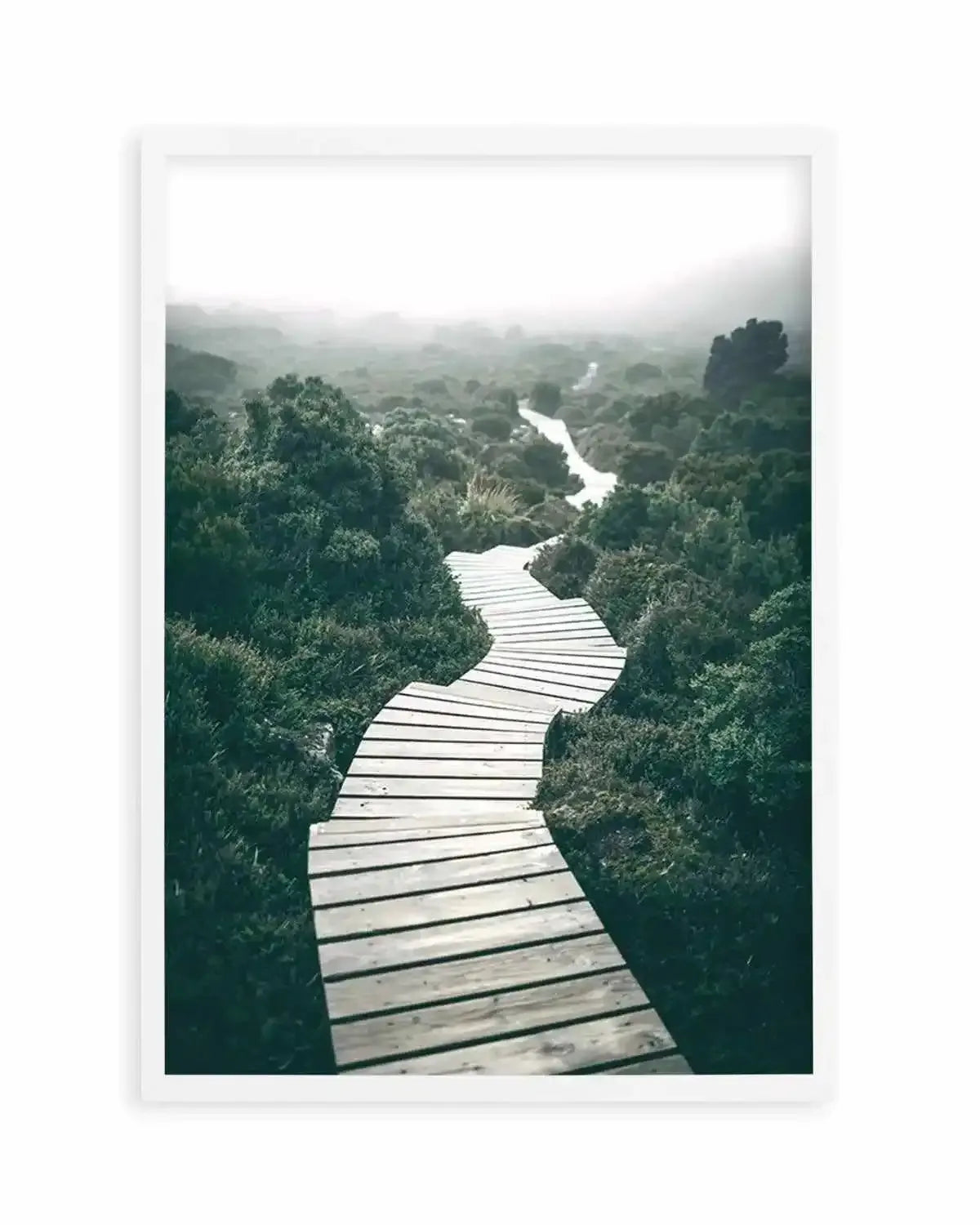 Along The Tracks | Tasmania Art Print from Olive et Oriel where you can shop wallpaper and artworks online