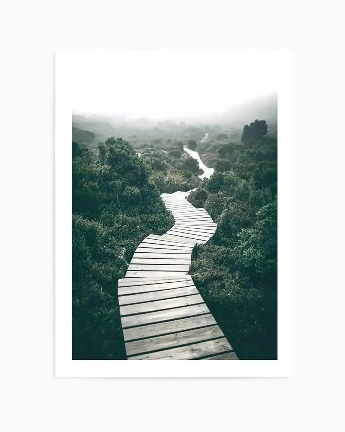 Along The Tracks | Tasmania Art Print from Olive et Oriel where you can shop wallpaper and artworks online