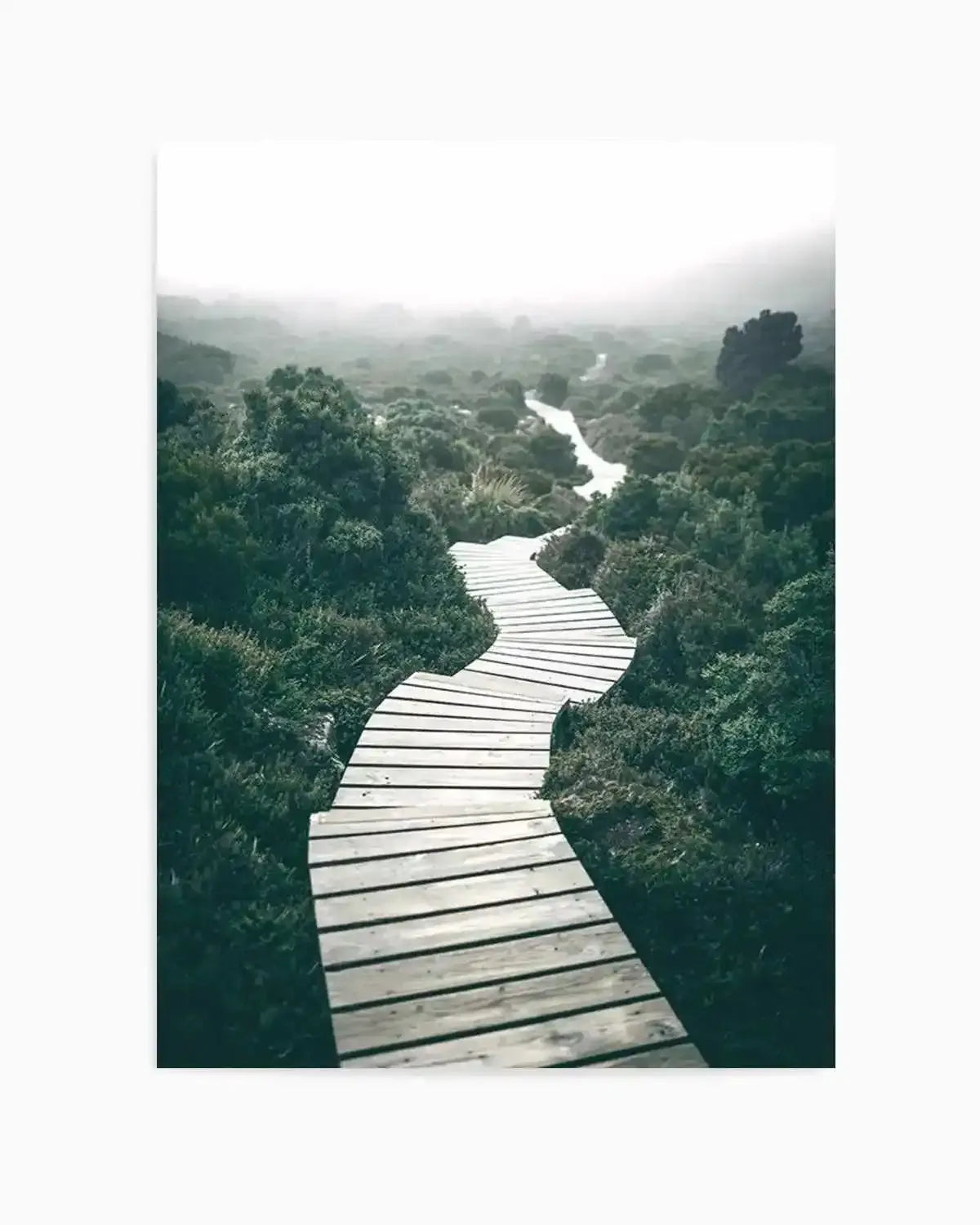 Along The Tracks | Tasmania Art Print from Olive et Oriel where you can shop wallpaper and artworks online