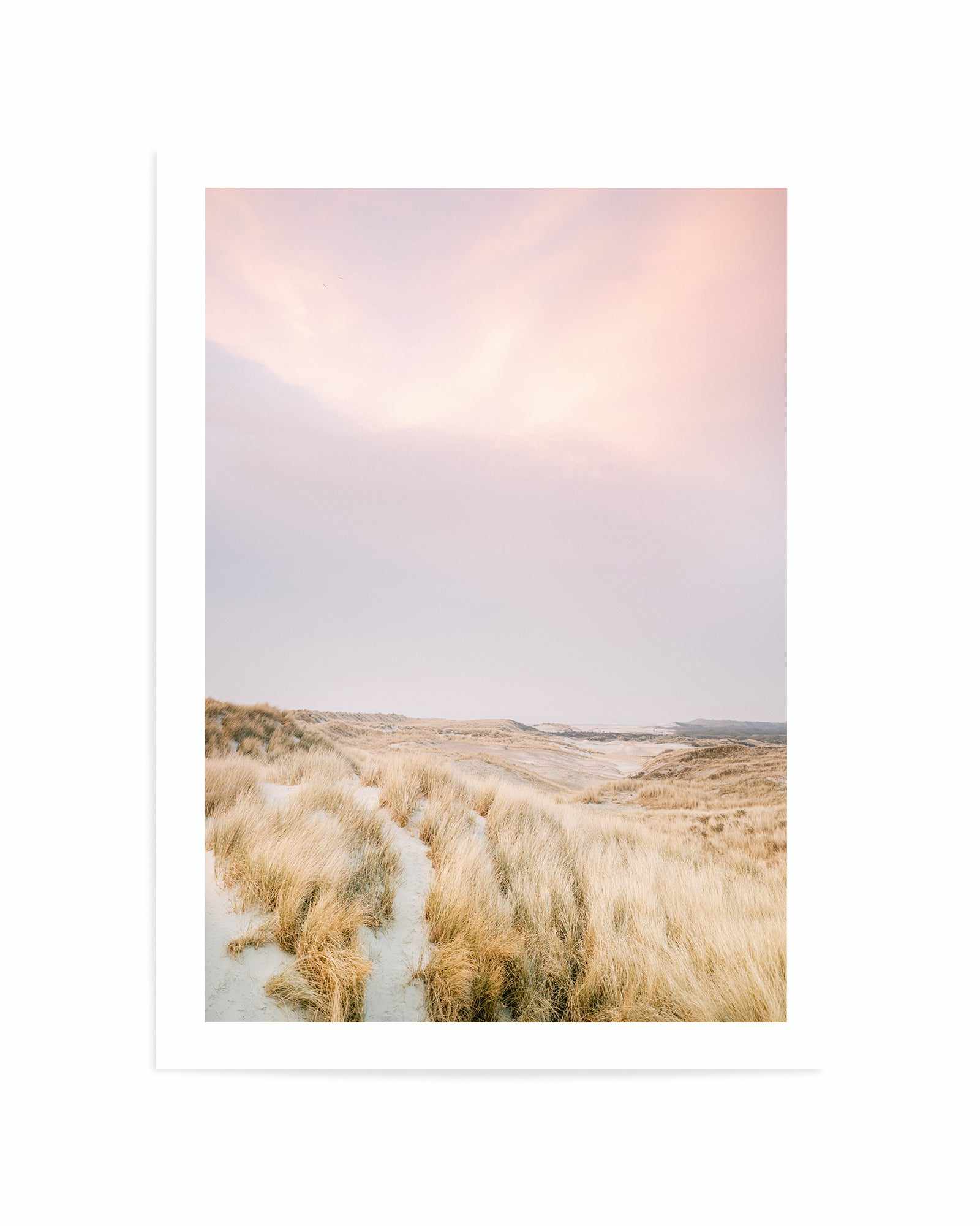 Ameland Dunes 1 By Raisa Zwart | Art Print