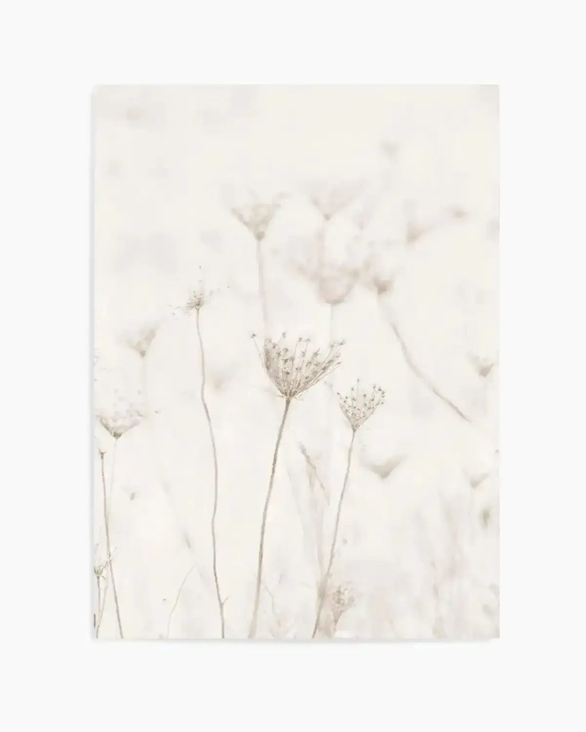 Among The Dandelions Art Print from Olive et Oriel where you can shop wallpaper and artworks online