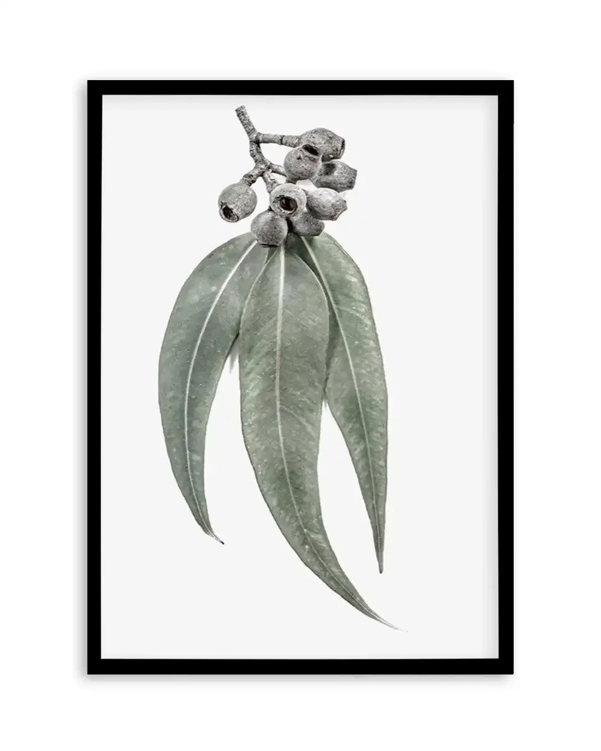 Among the Gumtrees Art Print from Olive et Oriel where you can shop wallpaper and artworks online
