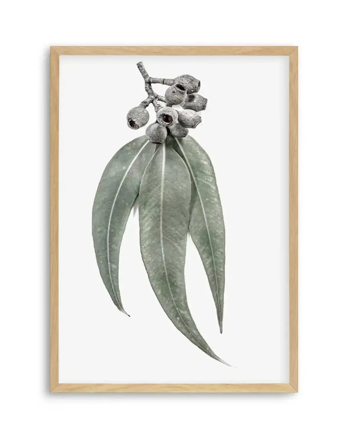 Among the Gumtrees Art Print from Olive et Oriel where you can shop wallpaper and artworks online