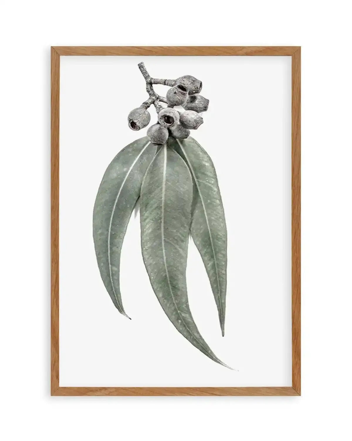 Among the Gumtrees Art Print from Olive et Oriel where you can shop wallpaper and artworks online
