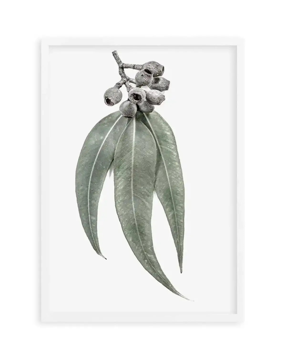 Among the Gumtrees Art Print from Olive et Oriel where you can shop wallpaper and artworks online