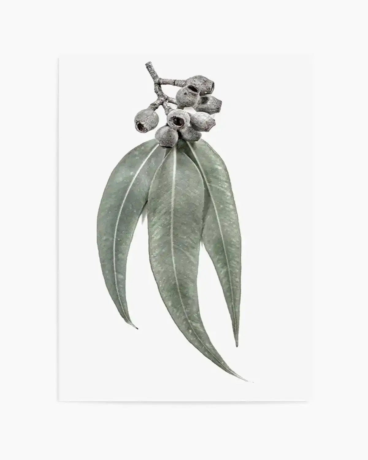 Among the Gumtrees Art Print from Olive et Oriel where you can shop wallpaper and artworks online