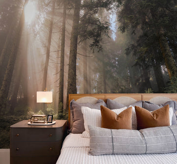 Ancient Forest Photo Mural Wallpaper from Olive et Oriel where you can shop wallpaper and artworks online