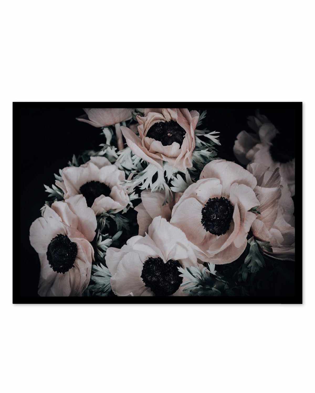 Anemone I Art Print