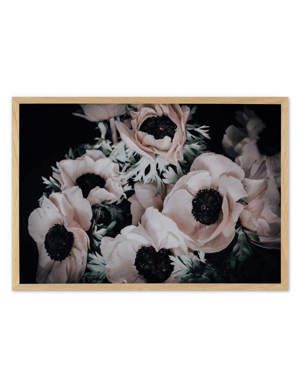 Anemone I Art Print