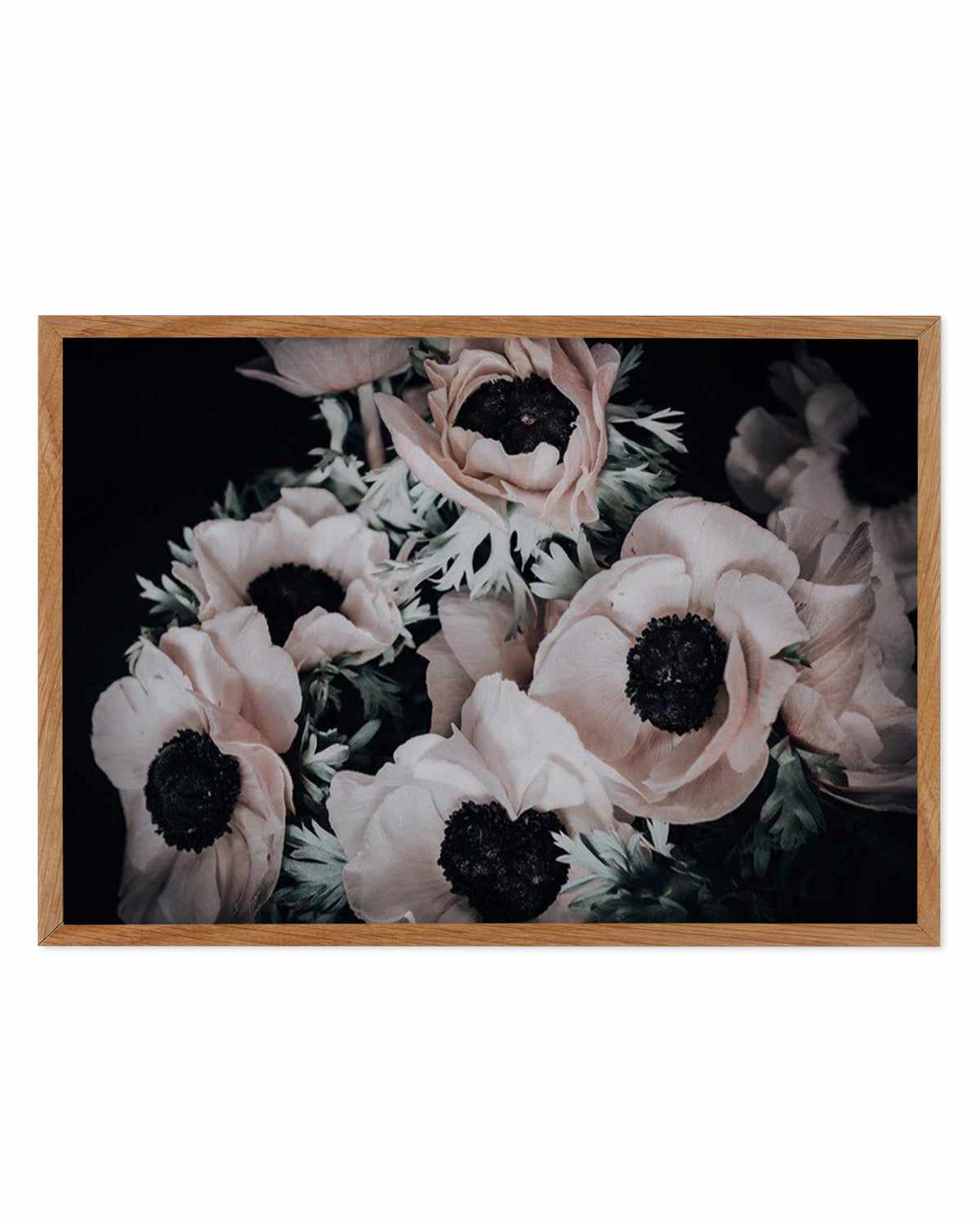 Anemone I Art Print